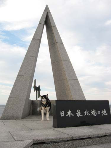 【アラスカンマラミュート】犬と一緒に行った昔の画像をまとめました＜北海道編＞